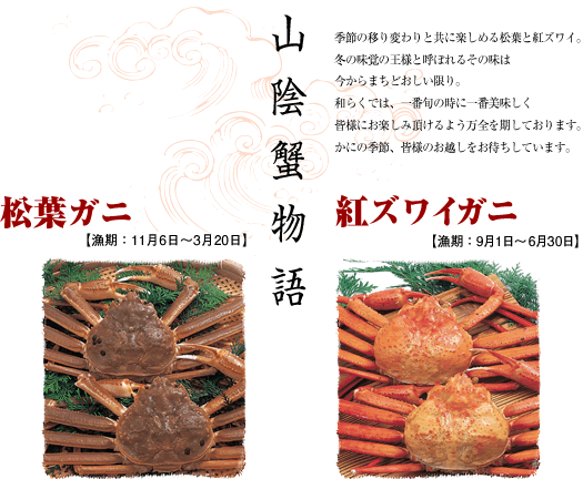 和らく 日本料理店 松江市 おしながき 島根県 松葉がに 活イカ 姿造り 刺身 会席料理 和食処 割烹 懐石料理 郷土料理 魚料理